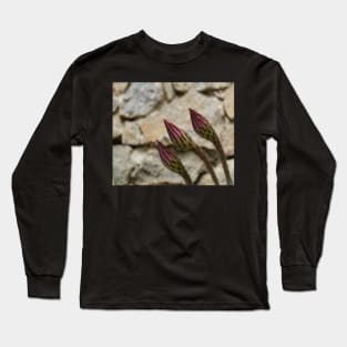 Closed bloom of a cactus Long Sleeve T-Shirt